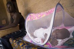 A baby boy sleeps at home under protective netting, to reduce his exposure to malaria, in the village of Essaout in the south-western Ziguinchor Region. A girl sits nearby. Malaria, transmitted by mosquitoes, causes nearly 30 per cent of all child deaths in Senegal. UNICEF supports the distribution insecticide-treated mosquito nets, as well as preventative treatment and care in communities and at health facilities.  In June 2007 in Senegal, young people comprise nearly half of the more than 12 million inhabitants but persistent poverty and chronic food insecurity continue to threaten children's welfare and growth. Easily preventable diseases are responsible for a large number of child deaths, and health and nutrition programmes are hampered by a lack of funds and trained personnel. Still, Senegal is making progress in the areas of nutrition, safe water access and education, devoting 50 per cent of its national budget to education and health services. Overall primary school enrolment has increased from 71.6 per cent of eligible children in 2001/2002 to 82.2 per cent in 2004/2005. And the gap between boys and girls attending school has narrowed from 11 to 4 per cent, though regional disparities persist - with the gap as high as 20 per cent in some areas. To help sustain progress in education, UNICEF works with the Government and diverse national and international partners to support an integrated package of health and child protection interventions for education, as well as for early childhood development. Initiatives include: teacher-training on child-centred methods, life-skills and HIV/AIDS education; peer education and vocational and life-skills training for adolescents; installation of safe water and sanitation facilities in schools, including separate latrines for girls and boys; health and nutrition programmes; curriculum development in Koranic schools; and non-formal education projects for vulnerable children. UNICEF also supports other health, nutrition and protection programmes, including to end female genital mutilation/cutting and to promote mine-risk education in the conflict-affected, south-western Casamance area (consisting of Ziguinchor and Kolda Regions).