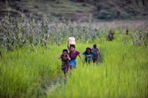 Young girls, one of whom carries a jerrycan filled with water atop her head, make their way home via a dusty path amid tall grass, in Achham District. In August/September 2014, Nepal is nearing the conclusion of a UNICEF-supported national nutrition security programme  funded by the European Union (EU)  to permanently reduce the rates of under-five child and maternal under-nutrition. The programme is part of a four-year UNICEF/EU global initiative, with multiple regional, national and community partners. It focuses on four countries in sub-Saharan Africa and five in Asia but aims to influence nutrition-related policies throughout these regions. The Asia programme  Maternal and Young Child Nutrition Security Initiative in Asia (MYCNSIA)  focuses on Bangladesh, Indonesia, the Lao Peoples Democratic Republic, Nepal and the Philippines and is intended to directly benefit 30 million children and 5 million pregnant and lactating women. At the macro level, the programme builds policy capacity for nutrition security; institutional capacity; data and knowledge sharing; and the scale-up of nutrition interventions. At the national and district levels, it promotes government and community ownership of development processes, including training, mapping and the mobilization of intra-community networks, such as womens groups. And it utilizes a cross-sector approach, combining nutrition, health, water and sanitation, agriculture and social protection interventions to maximize the positive effects on child and maternal nutrition. The goal is generational change in both institutional and individual beliefs and actions on nutrition  contributing, as well, to the achievement of the United Nations Millennium Development Goals (MDGs).