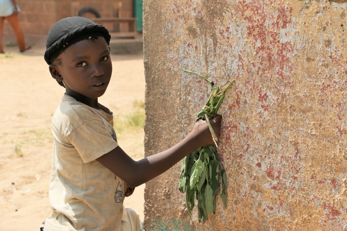 Bangui, Nov 19, 2015: in PK5 muslim enclave, a little girl holds a buch of leaves that will be cooked in a sauce. The blockade around the muslim enclave in CARs capital has significantly eased since Pope Francis visited CAR at the end of November, but security remains very volatile.assistance to cash assistance. It is an empowering and dignified form of support to children and their families, with a positive effect on the local economy and with lower administrative costs.